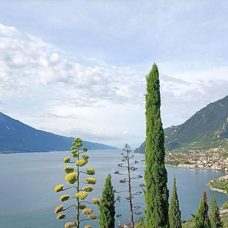 Centro Vacanze La Limonaia Limone sul Garda Eksteriør bilde